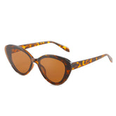 (6 PACK) Wholesale Sunglasses 2022 M114813 - Bulk Sunglasses Wholesale